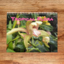 Suche nach flora kalender Orchidee