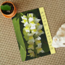 Suche nach snapdragon postkarten Geburtstag