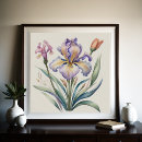 Suche nach lila iris poster Botanisch