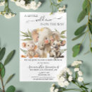 Suche nach kleine einladungen Elefant