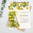 Recherche de citrique Citrons
