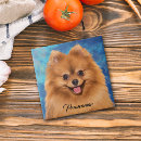 Recherche de peinture animale carreaux Portrait