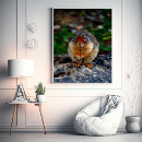 Suche nach ground poster Natur