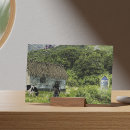 Recherche de peinture médiévale cartes postales Pour tous