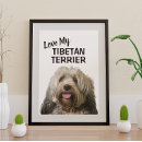 Suche nach tibetan poster Hunde