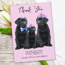Suche nach rosa labrador karten Schwarzes labor