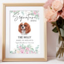 Recherche de cavalier king charles Floral