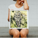 Suche nach blühender garten poster Botanisch