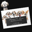 Recherche de marcheurs magnets Soins aux animaux