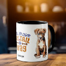 Recherche de american staffordshire tasses Chiot