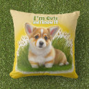 Suche nach niedlicher corgi kissen Welpe