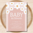 Recherche de marguerite rose invitations Boho