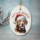 Suche nach schokoladen labrador ornamente Lustig