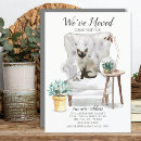 Recherche de siamois invitations Chat