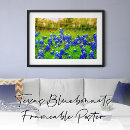 Suche nach texas hügelland poster Wildblumen