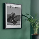 Recherche de perte de chien posters Animal