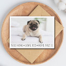 Recherche de new address cartes postales Déménagement