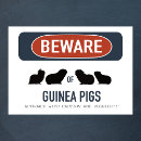 Suche nach guinea pig poster Lustig
