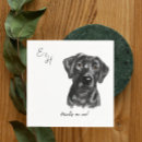 Recherche de laboratoire serviettes Chiot