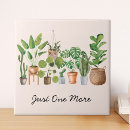 Recherche de plante carreaux Jardinage