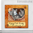 Suche nach crazy cat lady magnete Spaß
