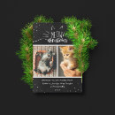 Suche nach christmas katze schwarz karten Urlaub