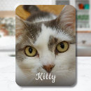 Recherche de photo de chat magnets Créer votre propre