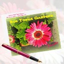 Recherche de fleurs roses cartes postales Marguerite