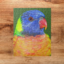 Suche nach parrot puzzle Bunt