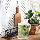 Recherche de lotus tasses Lis