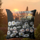 Recherche de champ de marguerite coussins Nature