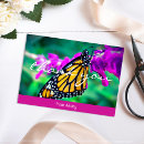Suche nach orange schwarzer schmetterling karten Fotografie