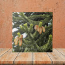 Recherche de puzzles carreaux Pour tous