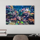 Suche nach korallenriff poster leinwandbilder Strand