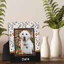 Recherche de dog plaques Animal