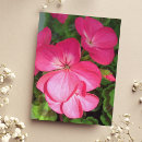 Suche nach geranium postkarten Natur