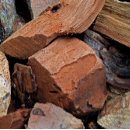 Recherche de fumer cartes visite Bois