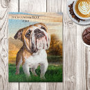 Recherche de bulldog puzzles Animal