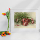 Suche nach vintage rote rosen poster Liebe