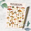 Suche nach vintage biologie postkarten Botanisch
