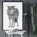 Recherche de wolf posters Imprimer