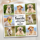 Recherche de perte mémoire vœux cartes Dans la mémoire d'amour