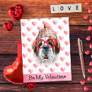 Suche nach saint bernard poster Lustig