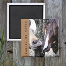 Recherche de horse refrigérateur magnets Photographie