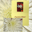Recherche de chrysanthème photographie Pour tous