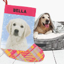 Recherche de chiens chaussette de noël Amoureux des chiens