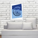 Suche nach muschel muschel poster Seashell