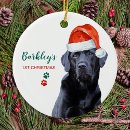 Suche nach weihnachtshunde ornamente Dogs
