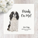 Suche nach cocker spaniel foto Modern