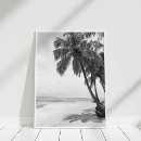 Recherche de palmier noir et blanc posters Pour tous